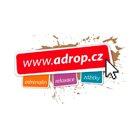Partner 3